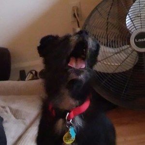 Meet your Posher, Jeff